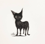 Shadow kitty studio
