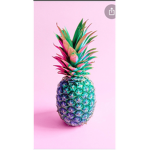 Pp po po