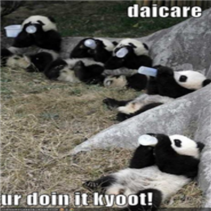 funny-pictures-panda-daycare Roblox decal
