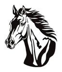 Horses Community