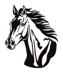 Horses Community Group Thumbnail