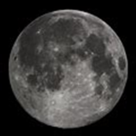 space humens