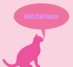 Fast Cat Facts