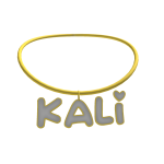 ୨୧┊kali 3.0