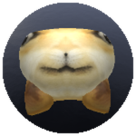 Backwards Doge
