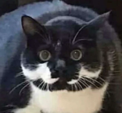 fartstinky Roblox group icon