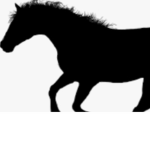 <+ SouthernSide Stables +>