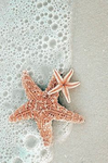 emery's coastal closet!