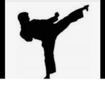 Roblox cobra Kai!!