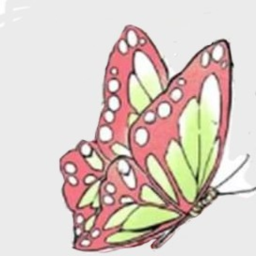 ⋆.˚🦋ᝰ.ᐟ