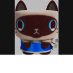 Choco cat