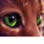 ItsFunnehFanCats
