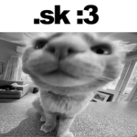 .sk