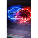 Fan de sonic