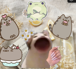 ThecatgangReal