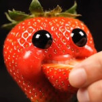 Line to Niche Fruits!