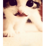 rawr._