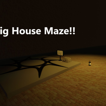 big maze