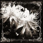 By_Mel Group Thumbnail
