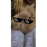 Giving robux to freind