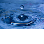 Water Is Wet