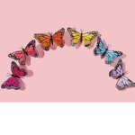 Butterfly twins