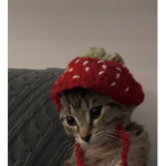 Strawberrywhipped