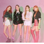 BLΛƆKPIИK Fans Group