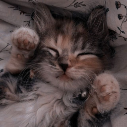 ☆☆☆