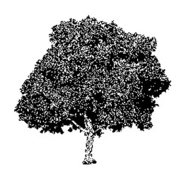 1DDP1