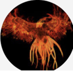 Mr Phoenix