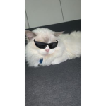 lmknbjhv gcvhihuv h