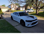 hellcat fan and some merch