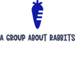 A group about rabbits