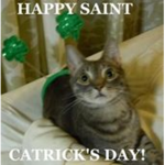 St Patrick’s Day Squad