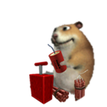 Dynamite Chomik