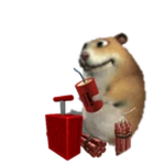 Dynamite Chomik