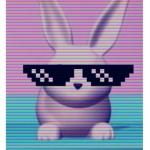 Noobzter