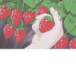 Straxwberries