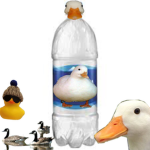 The Royal High Duck Flock