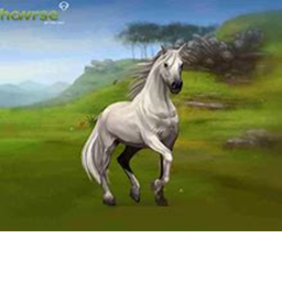 horse riding !!!!!