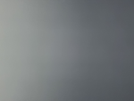 @cats