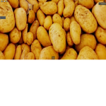 Potato war group