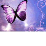 Amelie’s Butterfly squad