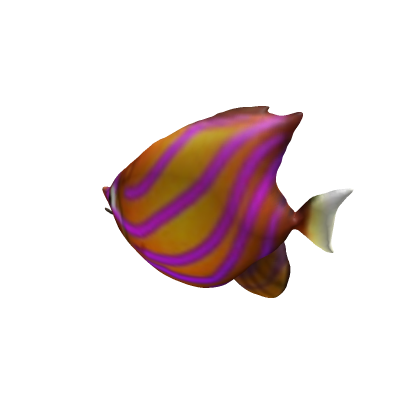 Andy The Angelfish 