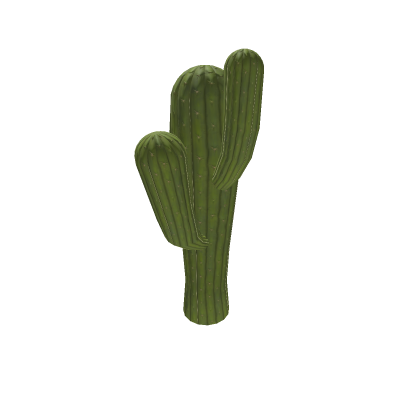 Cactus