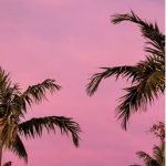 lovely moods