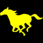 Honeybee Riding Academy