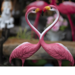 Loving animals group