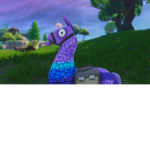 ImagineNATION